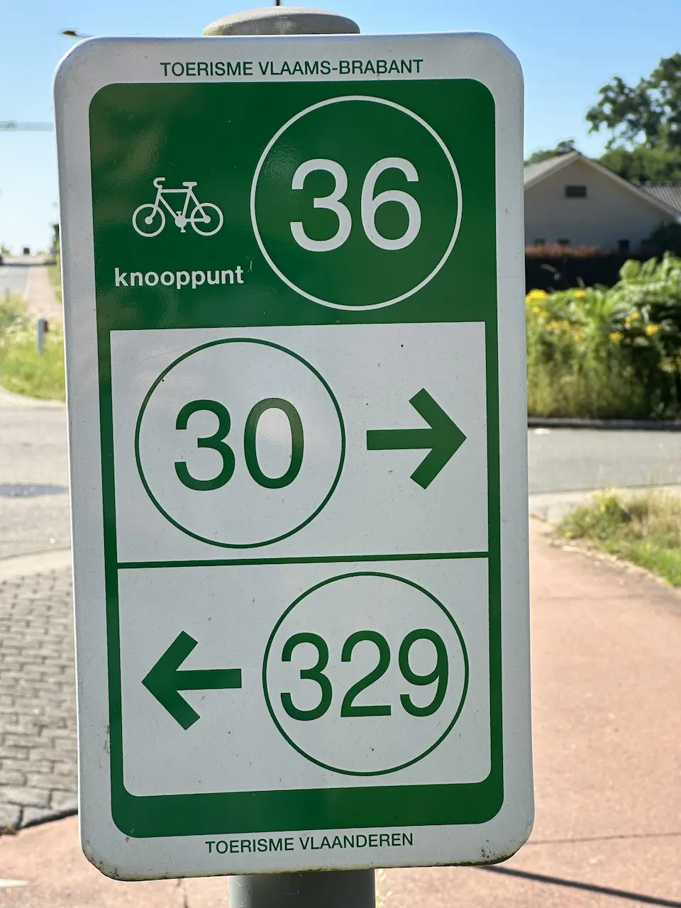 Fietsknooppunt 36.
