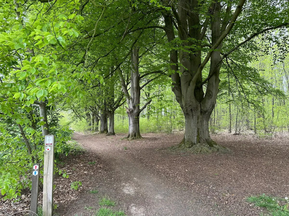 Wandeling de Merode.